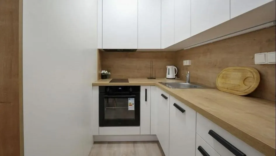 Modern Flat With Rooftop Terrace Prague Apartment