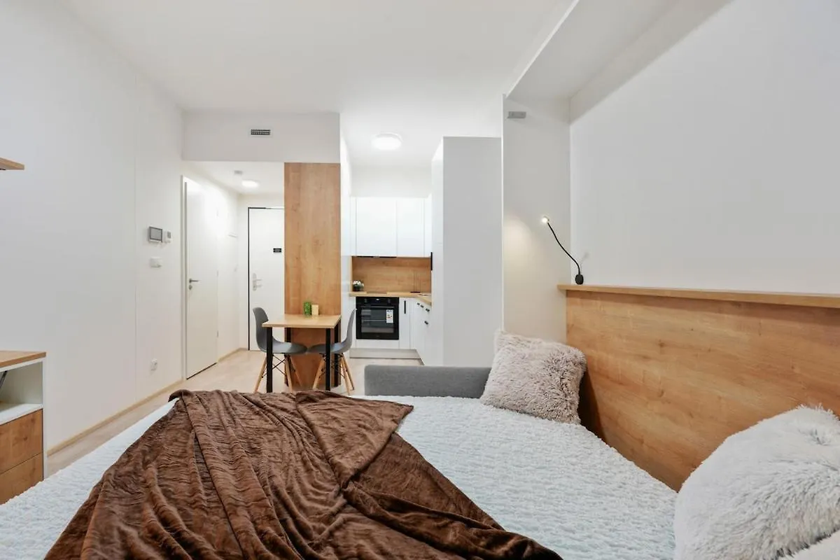 Apartment Modern Flat With Rooftop Terrace Prague